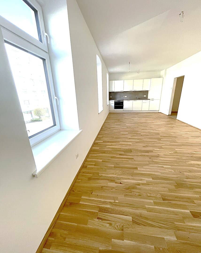 Apartment First Occupancy Loggia Modern Kitchen