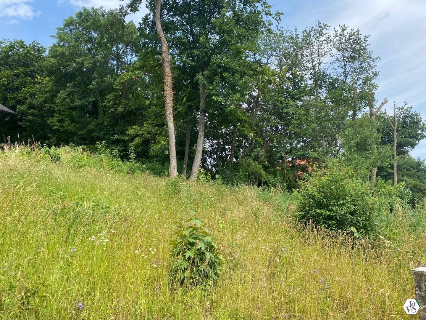 Plot with Distant View in Siegenfeld