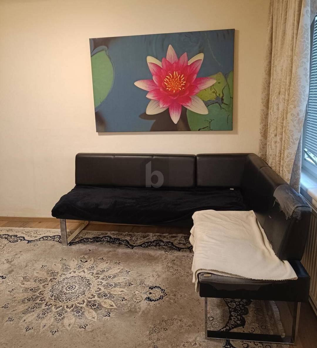 Immobilienbild 4