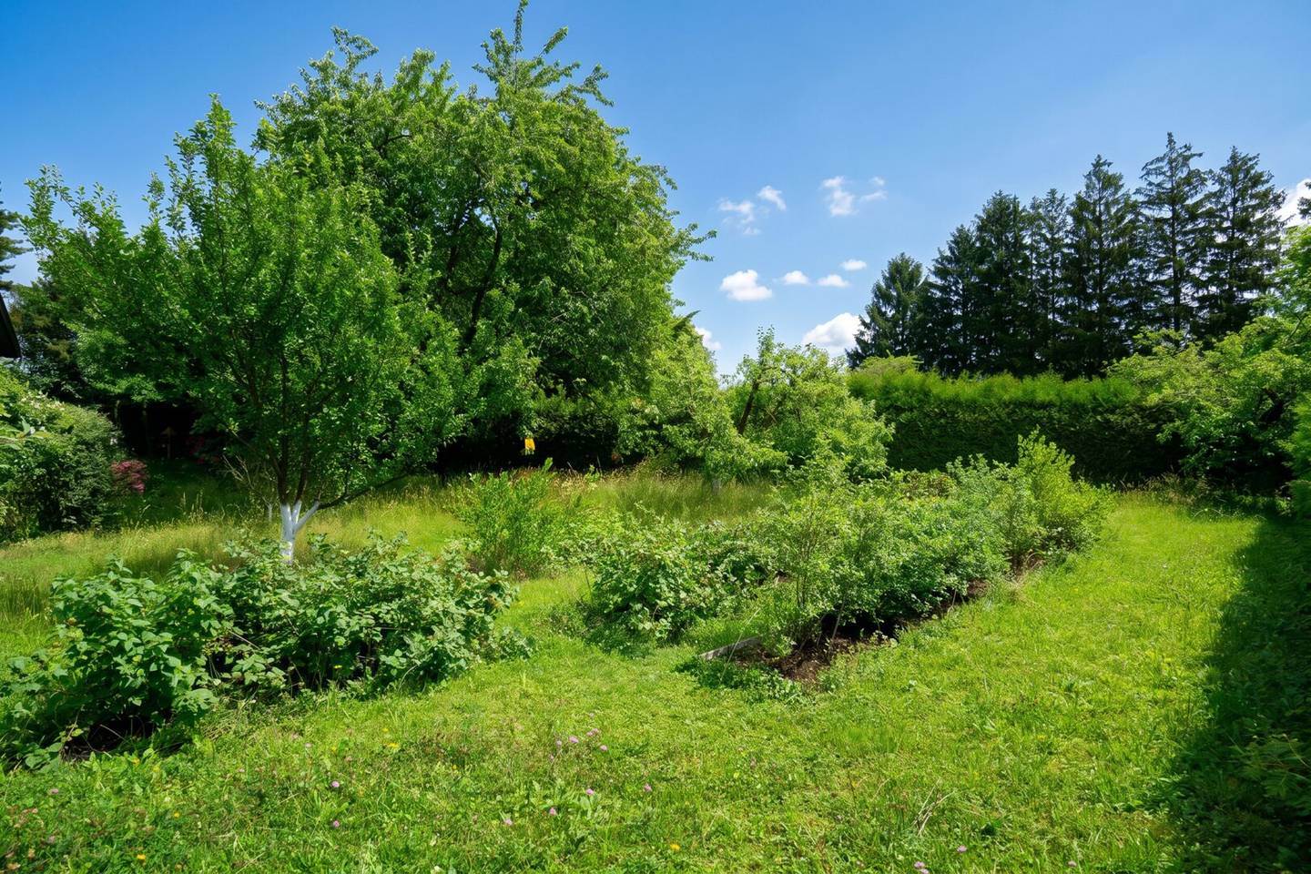 Großzügiges Einfamilienhaus mit Garten und Sauna am Kaiserspitz