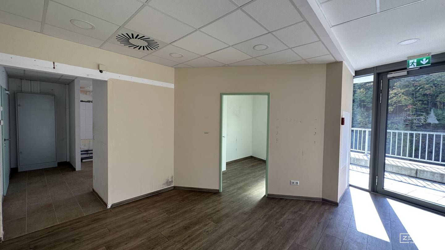 Spacious commercial space with sunny south-facing terrace and green views