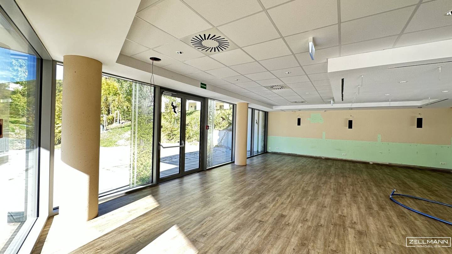 Spacious commercial space with sunny south-facing terrace and green views