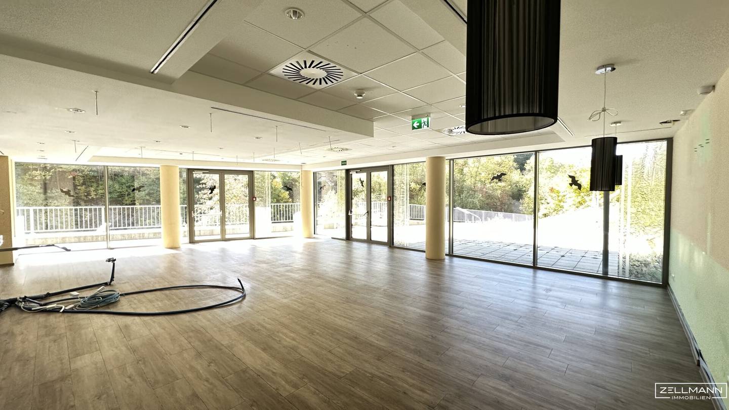 Spacious commercial space with sunny south-facing terrace and green views