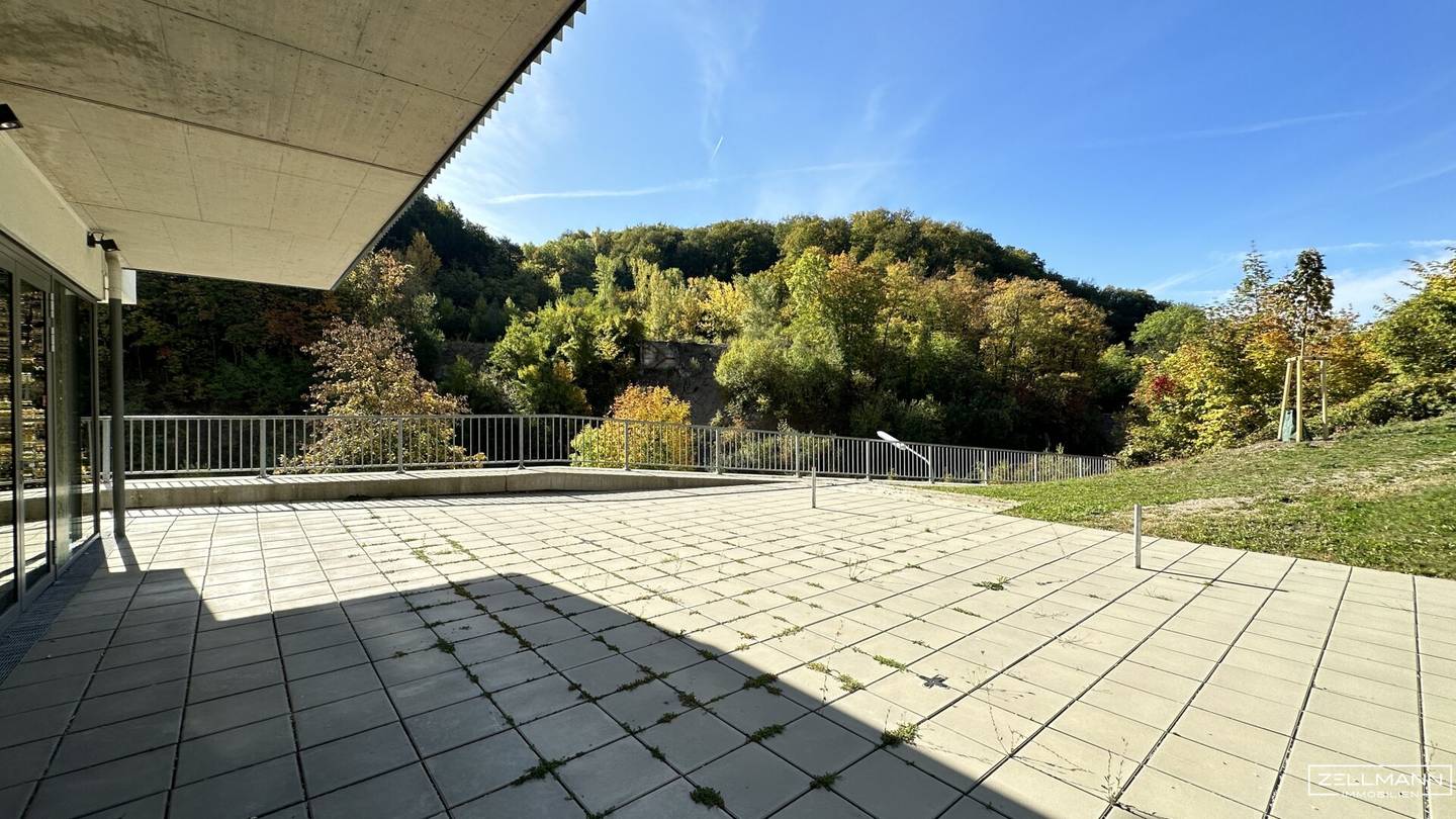Spacious commercial space with sunny south-facing terrace and green views