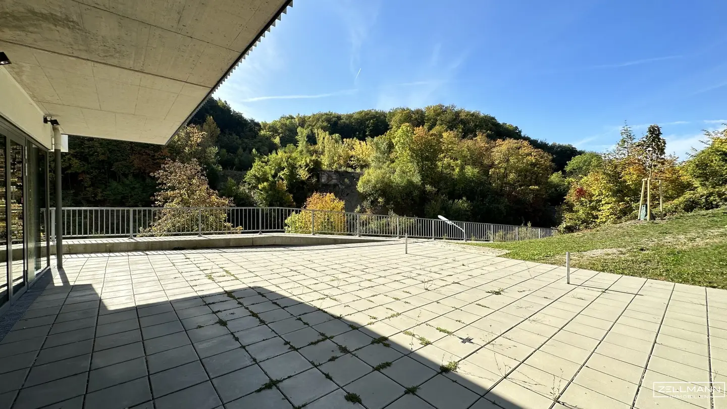 Spacious commercial space with sunny south-facing terrace and green views