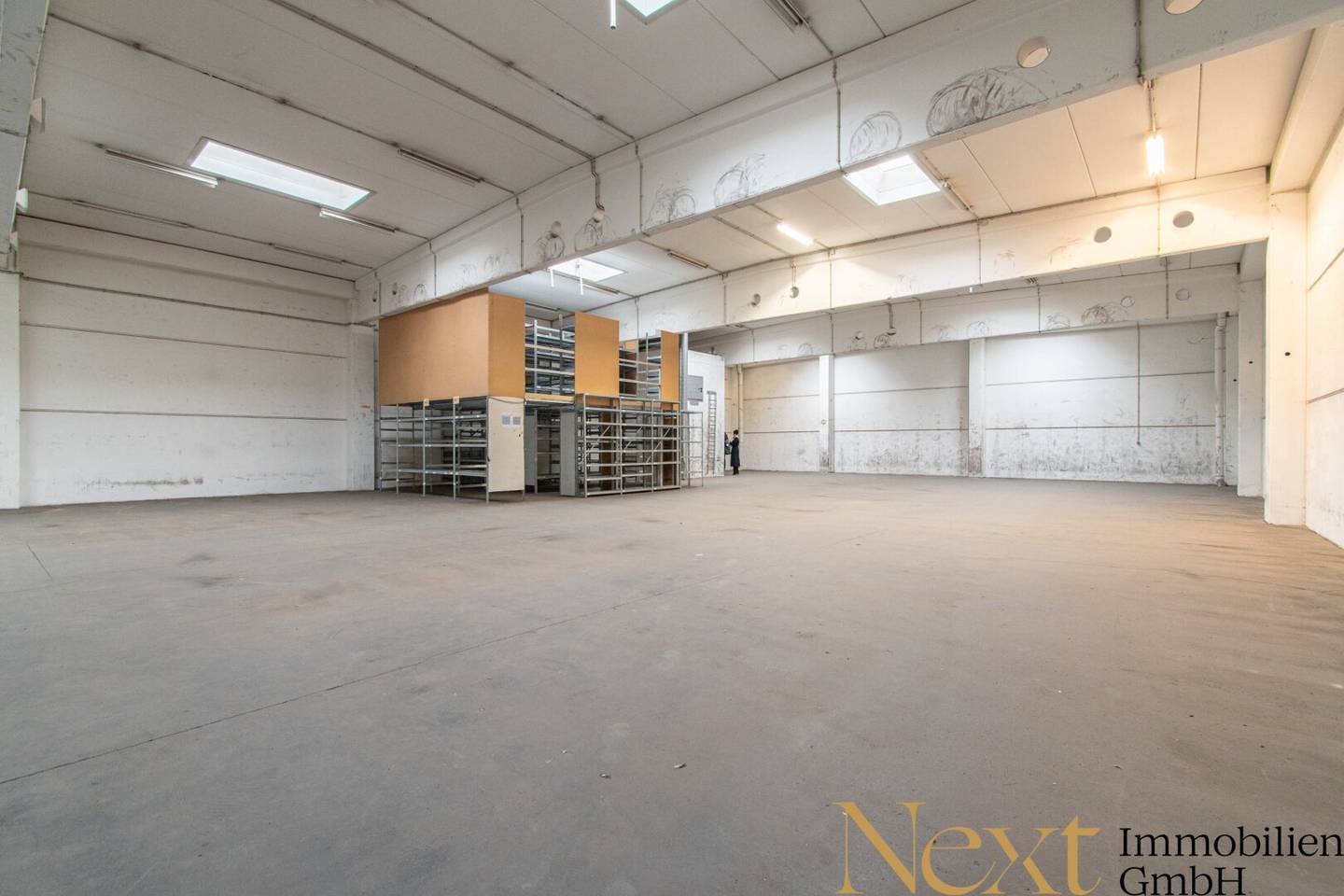 Commercial property with storage halls roller doors and rooftop terrace