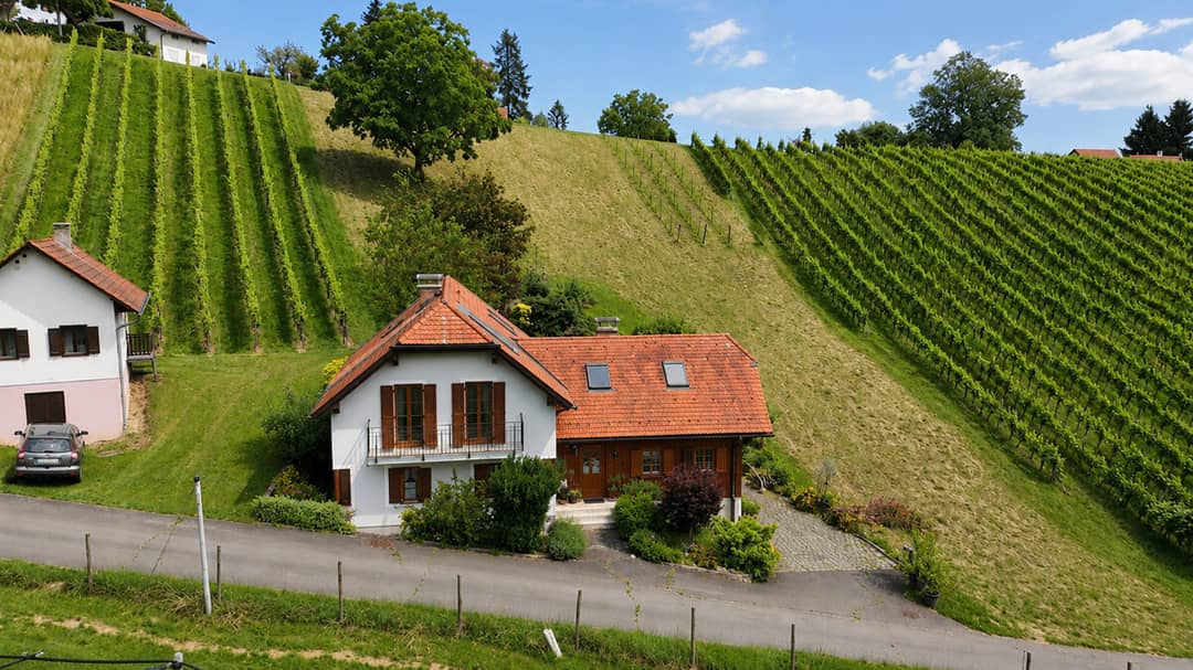 Einfamilienhaus mit Terrasse und Garage in Weinlage