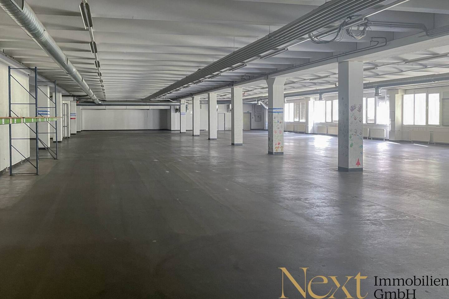 Spacious warehouse with adjustable loading ramps in Linz for rent Divisible