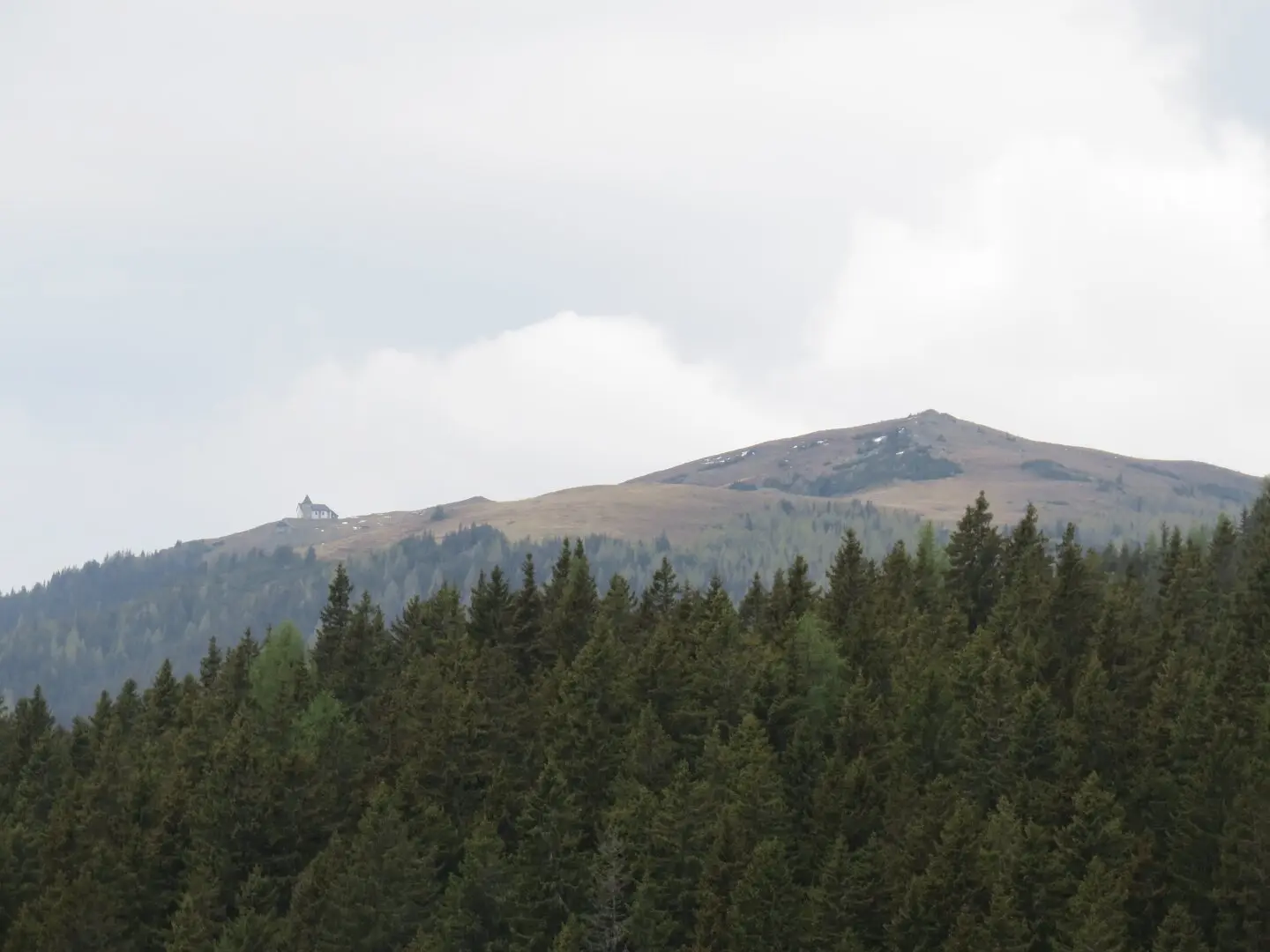 Woodland plot with view of Maria Schnee