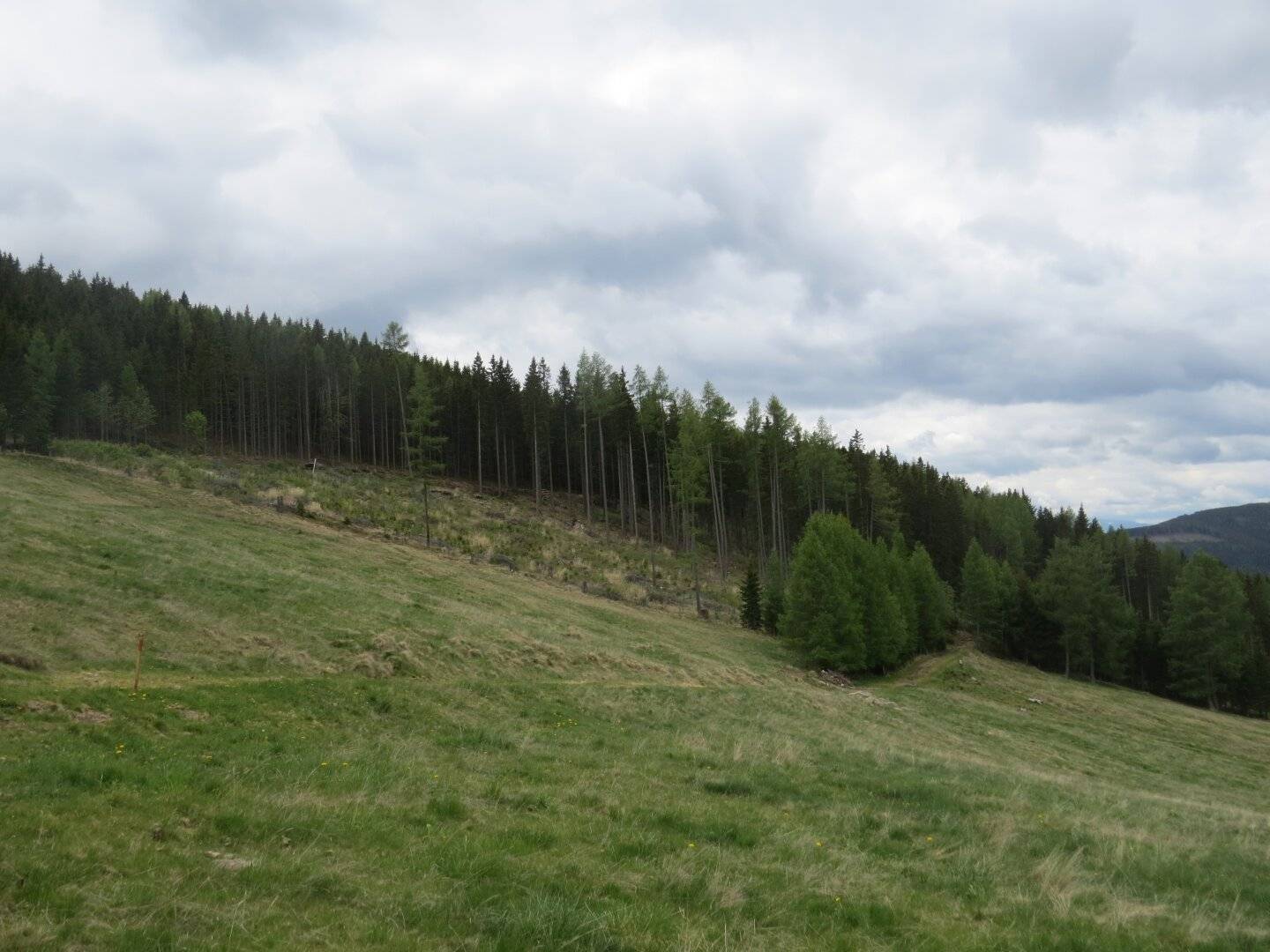 Waldgrundstück mit Blick auf Maria Schnee