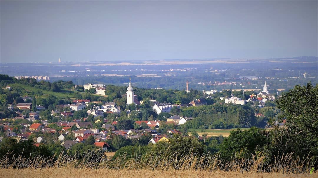 Commercial Space in Bad Vöslau with Parking Options