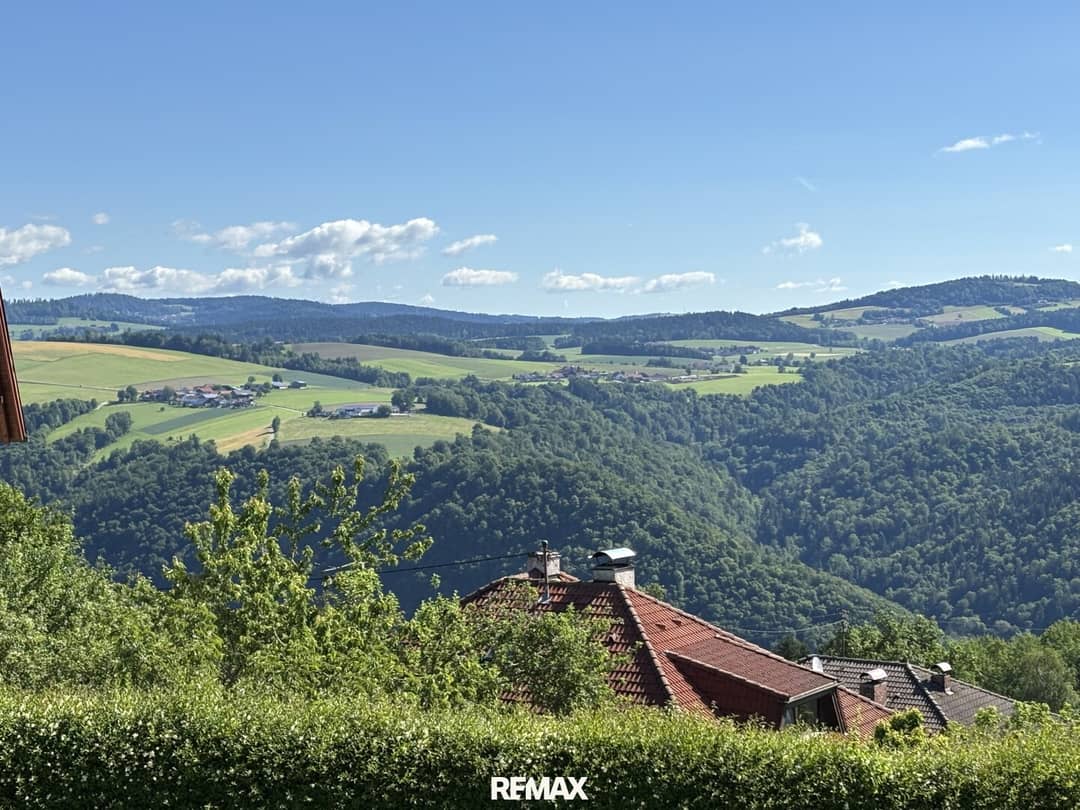 Immobilienbild 2