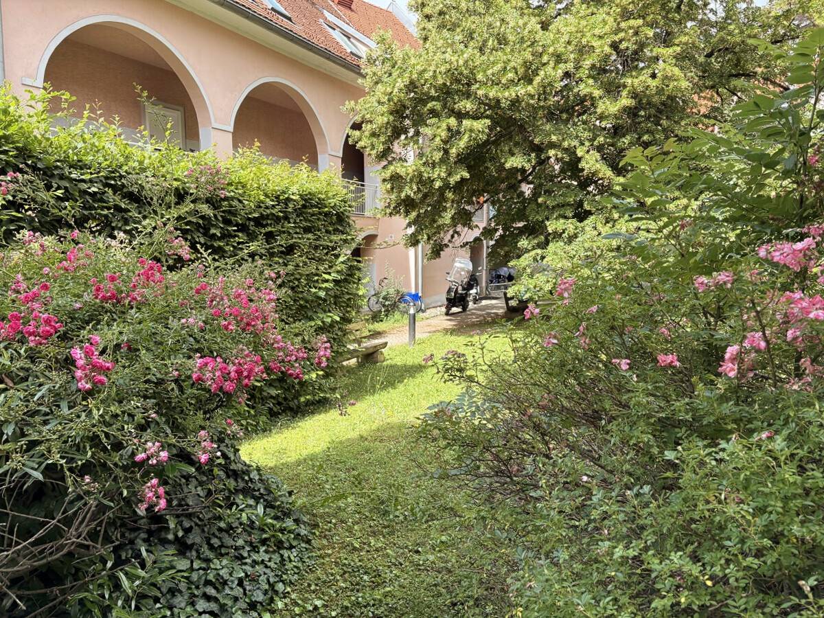 Charming Altbau gem in Geidorf with garden access