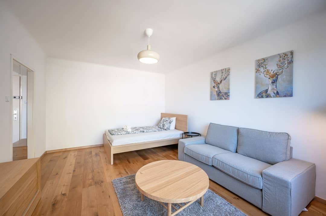 Renovated apartment with shared terrace near Prater