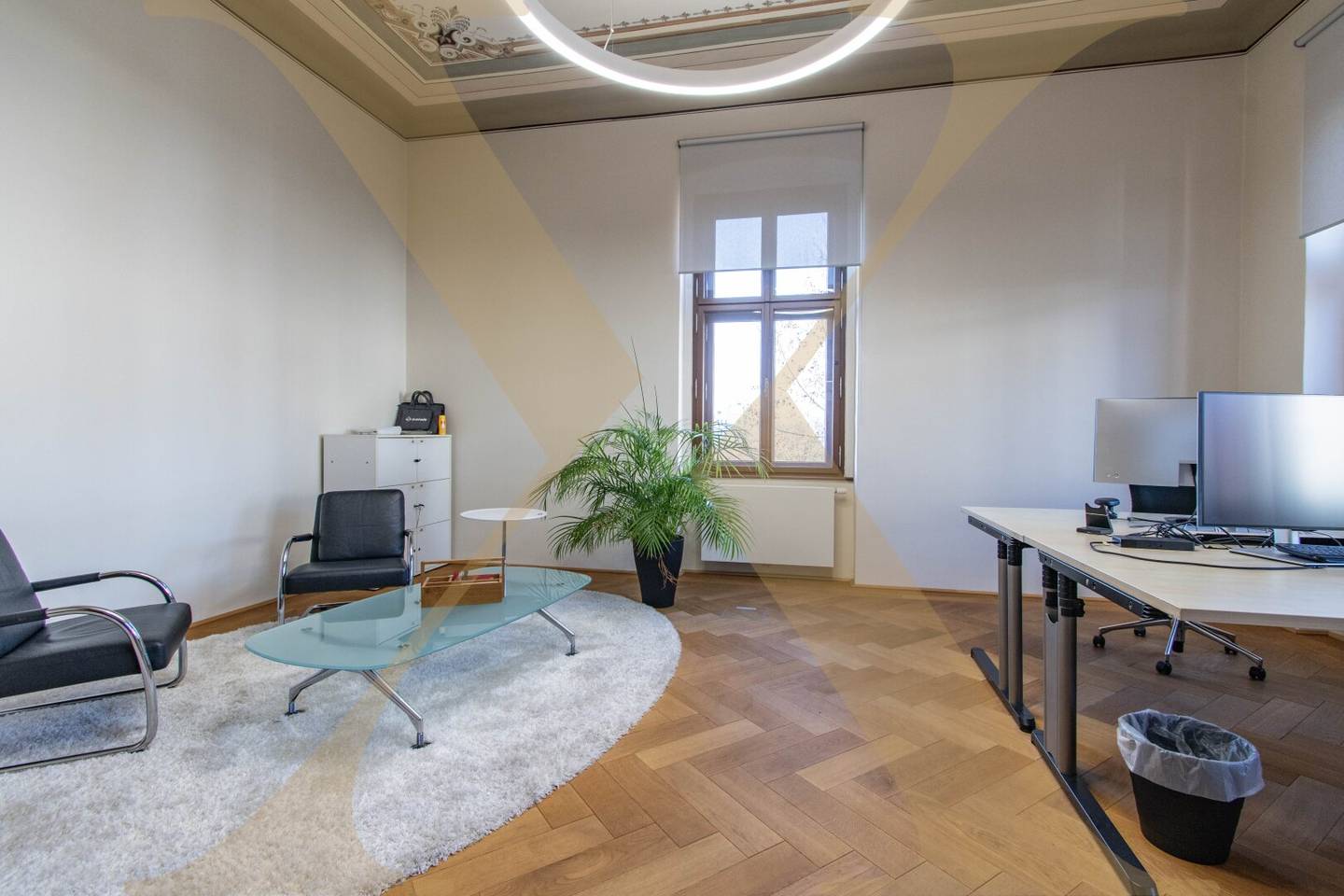 Impressive office space in Palais Löwenfeld in Linz/Kleinmünchen for rent