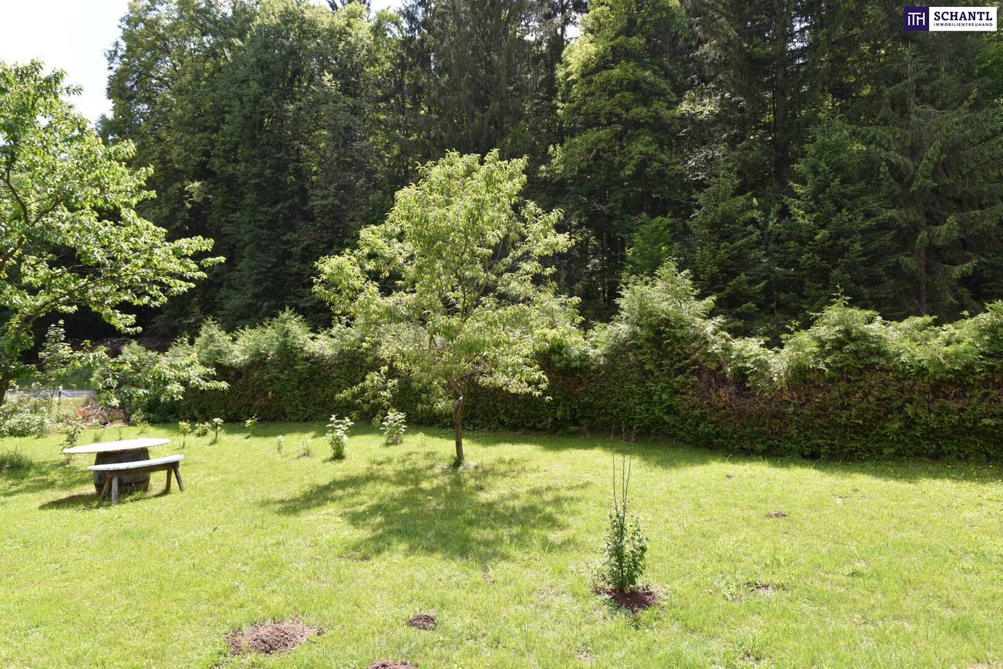 Einfamilienhaus mit großer Terrasse und 2270 m² Grundstück