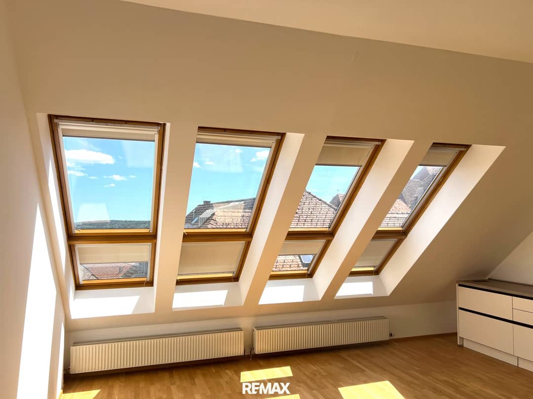 Bright penthouse apartment with air conditioning and elevator