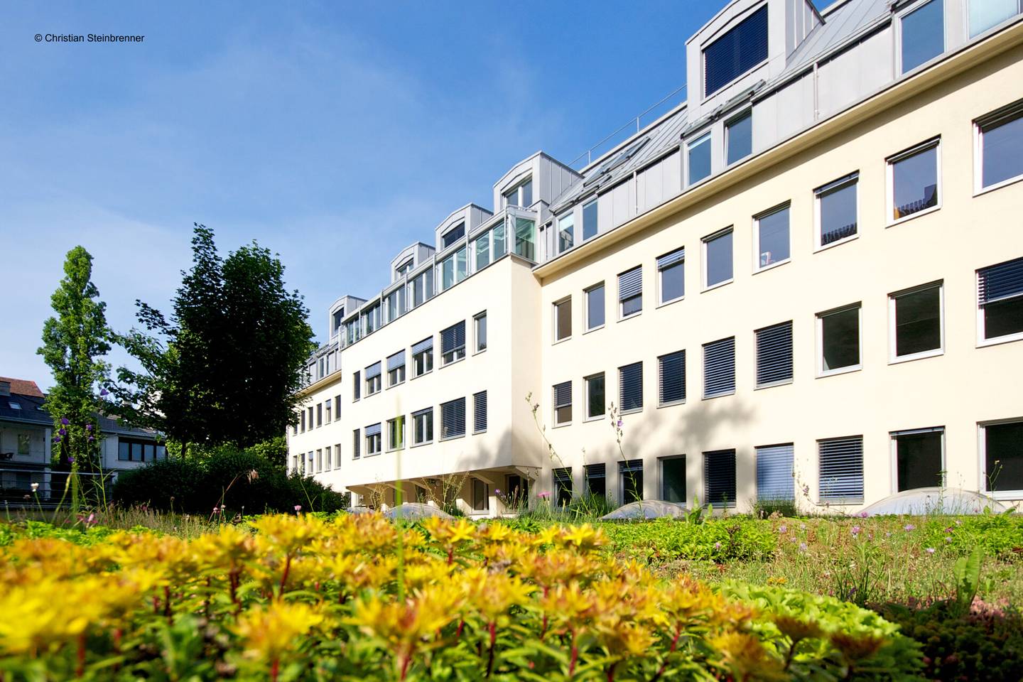 Office Space with Rooftop Terrace and Flexible Layout