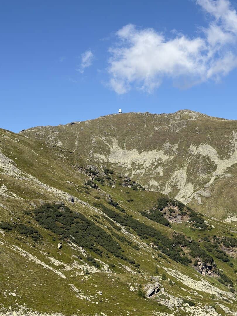 300 ha Alm und Gebirgsjagd in der Steiermark