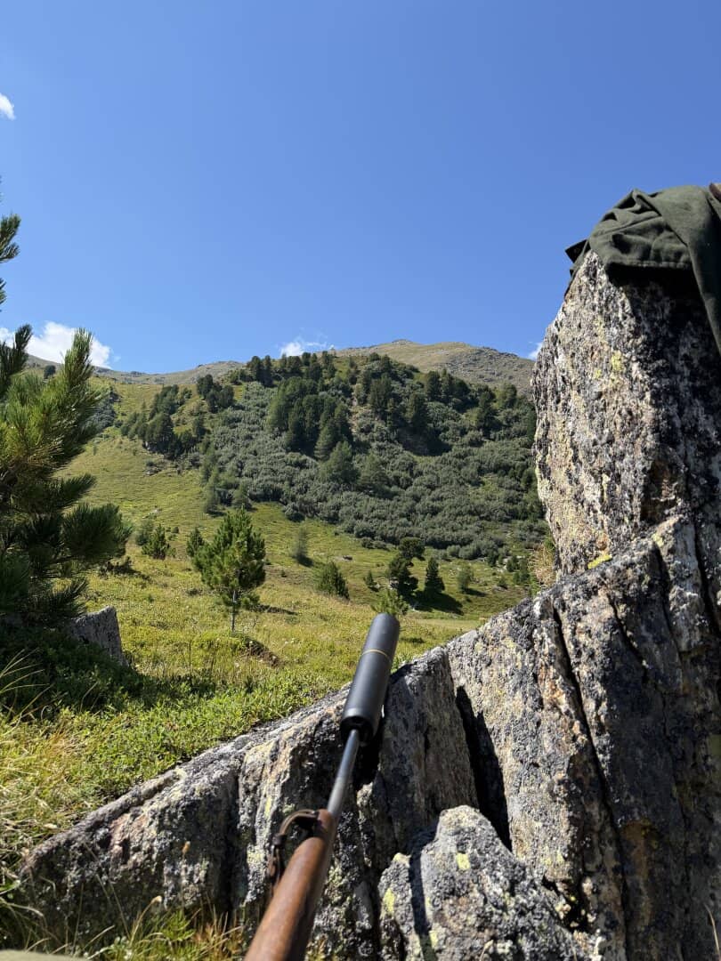 300 ha Alpine and Mountain Hunting Grounds in Styria