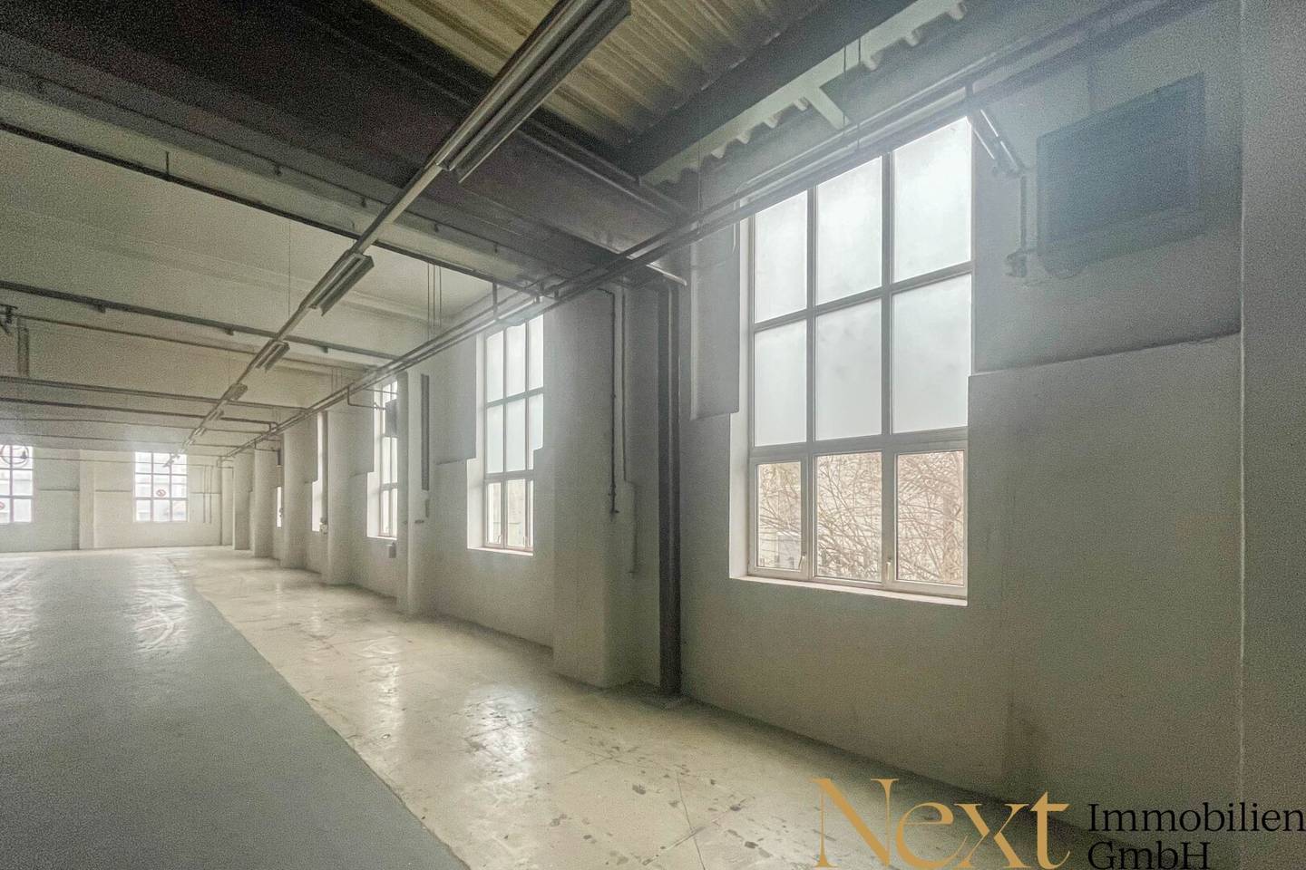 Warehouse production hall in a traffic optimally located area in Enns for rent Divisible