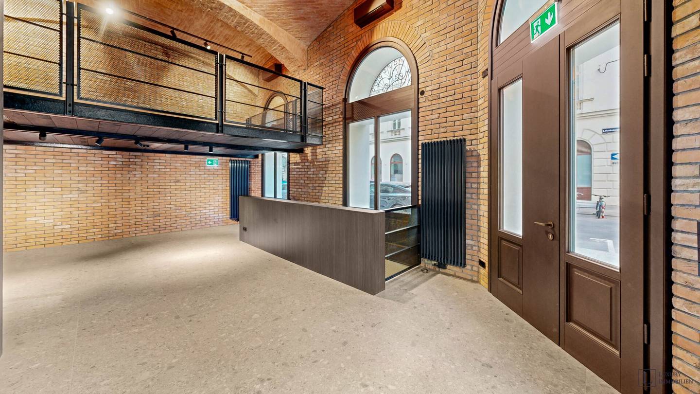 Loft apartment with historic vaults and mezzanine level