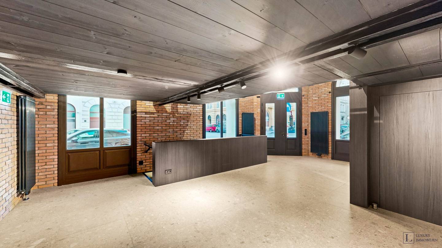 Loft apartment with historic vaults and mezzanine level