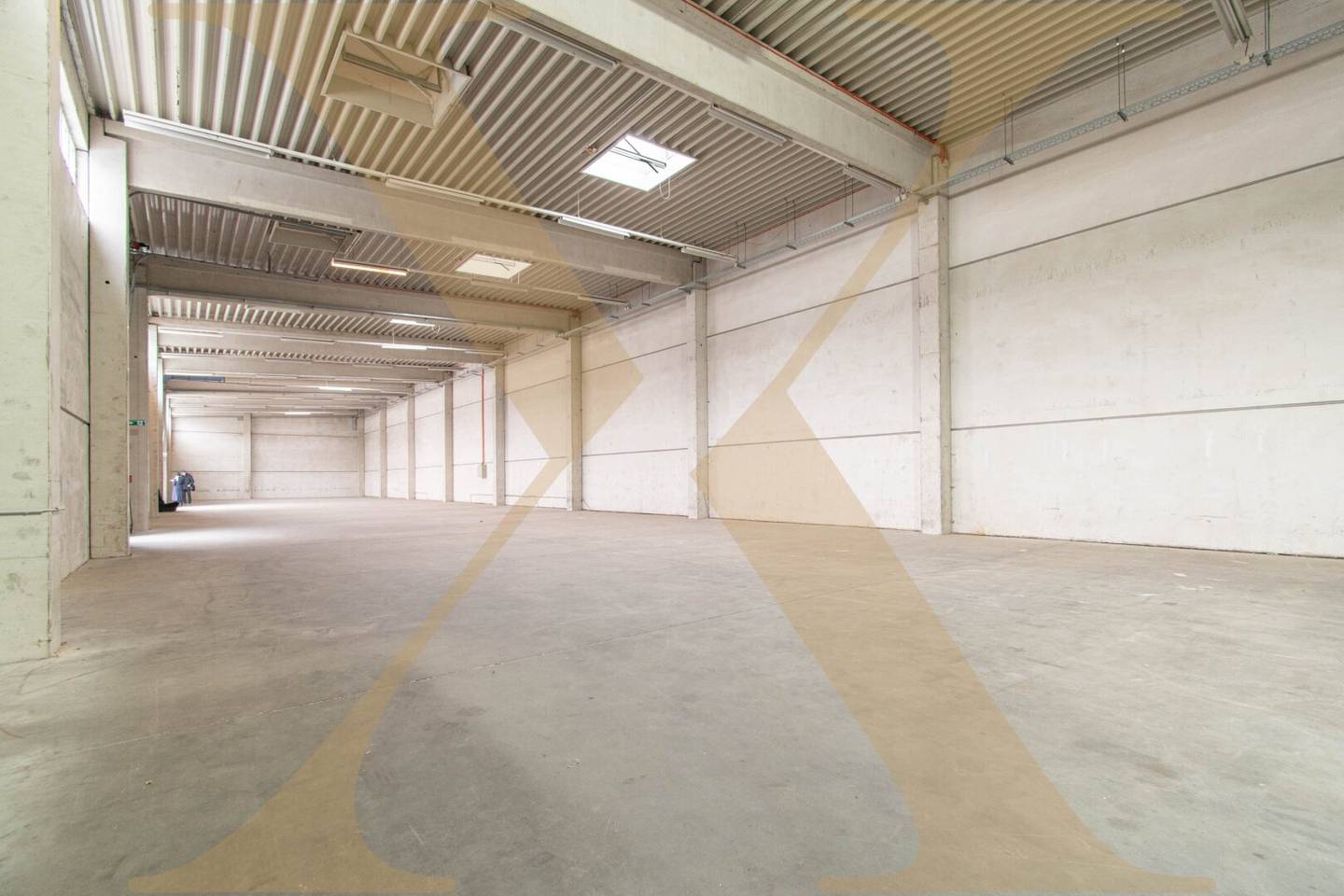 Commercial property with warehouse halls and roller doors in central location