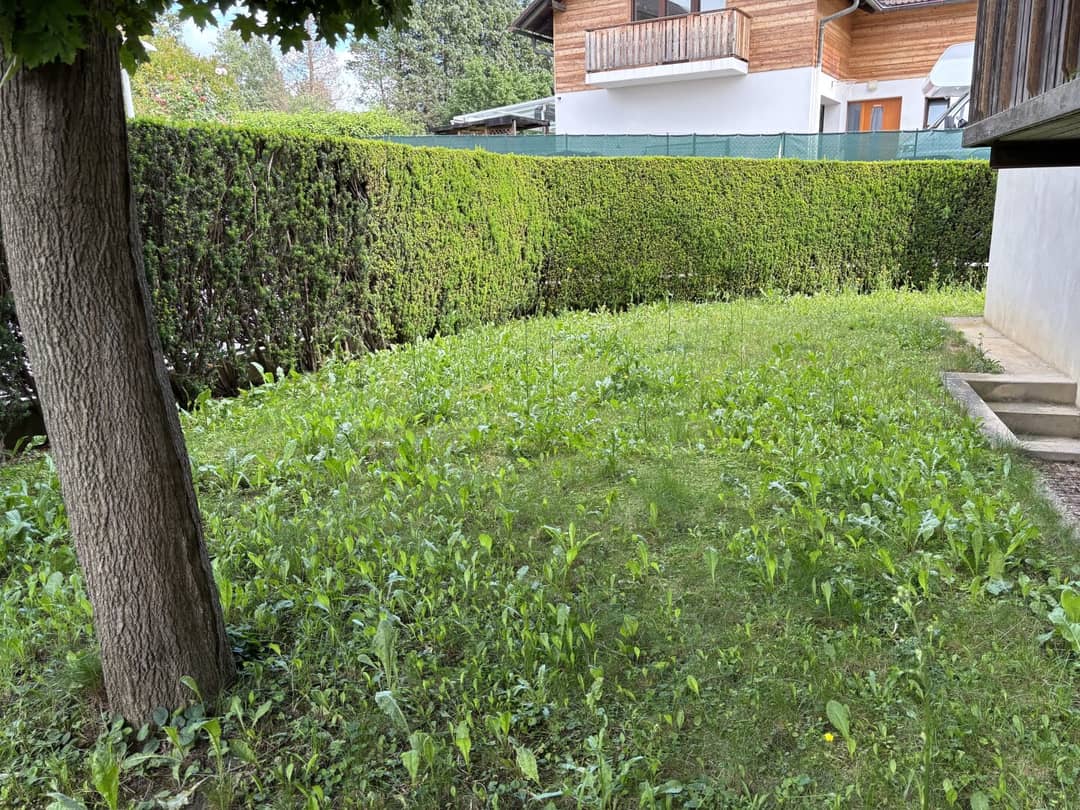 Charming corner row house with garden and garage in Graz Andritz