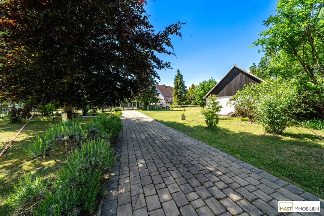 Immobilienbild 3