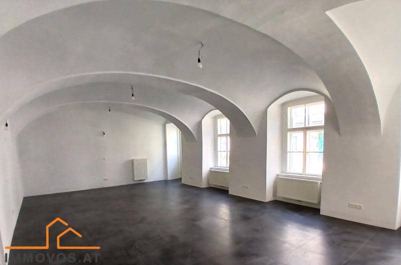 Ladenlokal mit Gewölbedecke nahe Schönbrunn