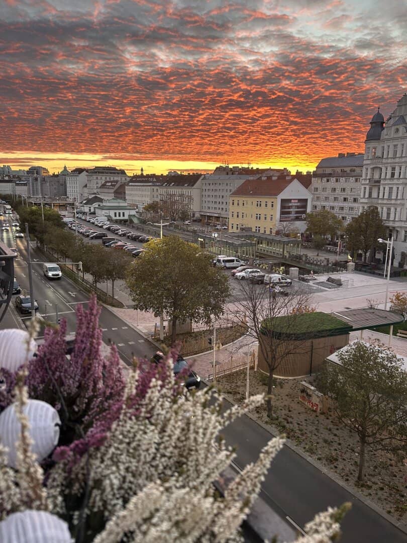 Altbauwohnung mit Naschparkblick und Kamin
