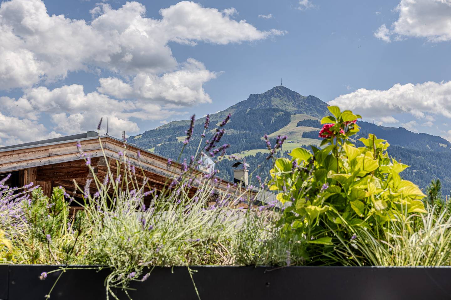 Chalet mit Alpenblick Sauna und Smart Home