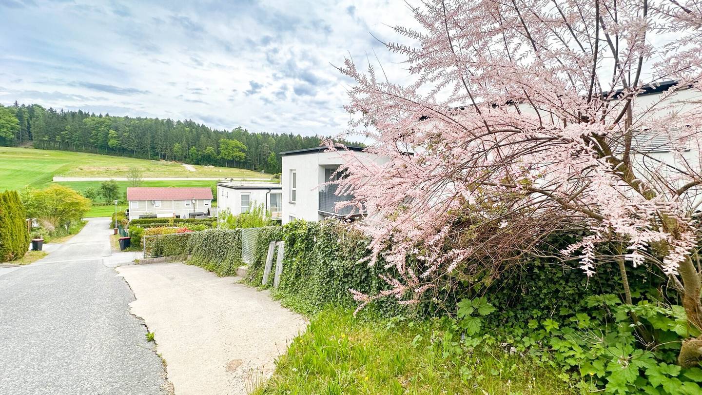 Gepflegte Wohnung mit Terrasse und Garage in Ludersdorf