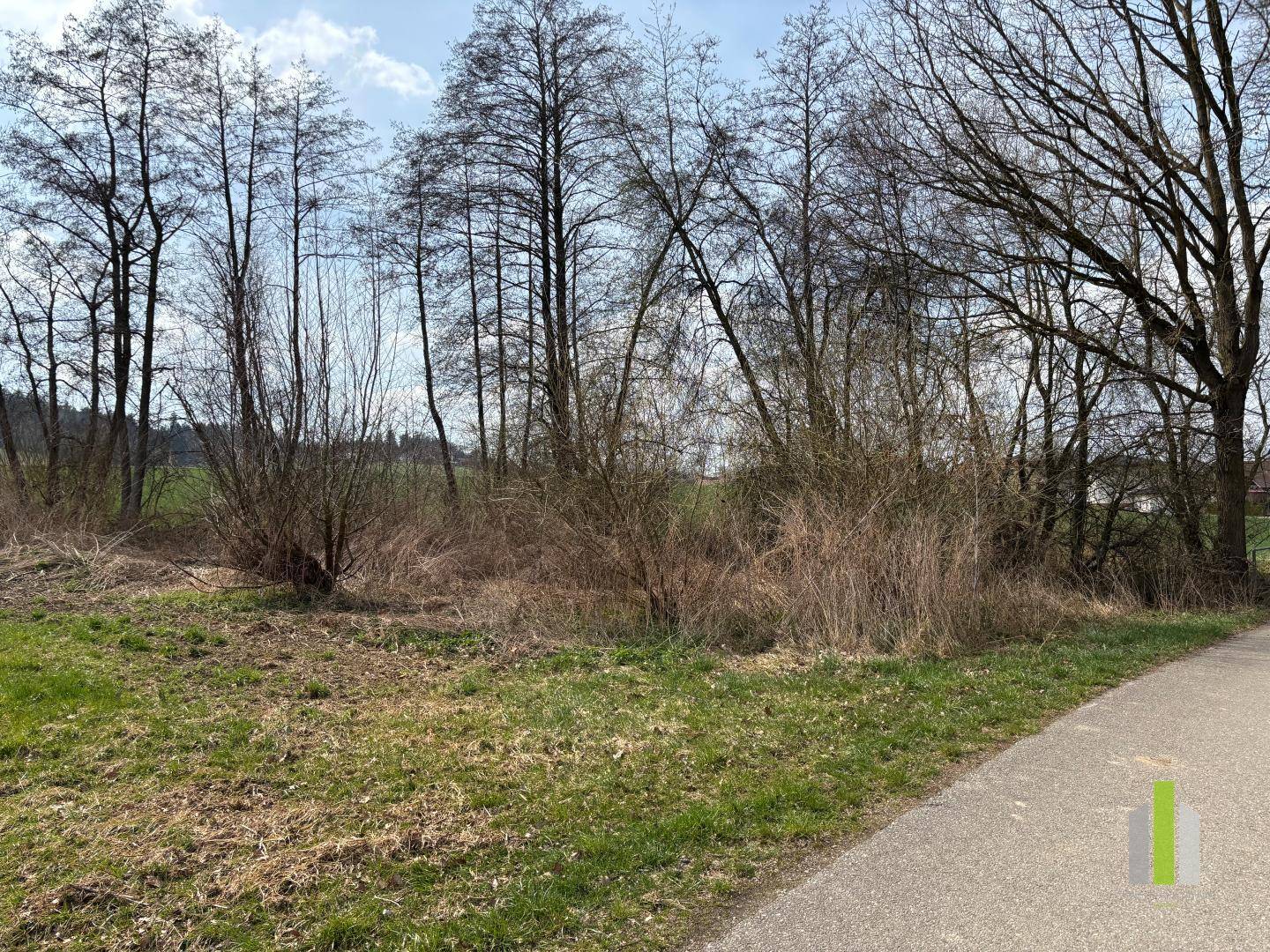 Großer landwirtschaftlicher Nutzgrund bei Altheim