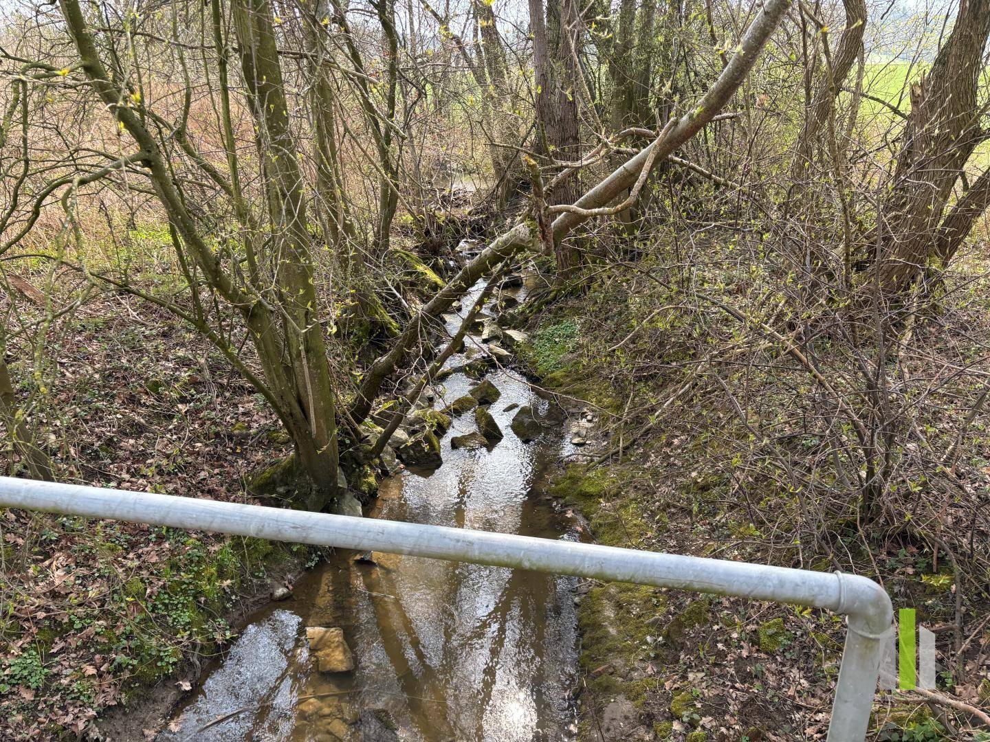 Großer landwirtschaftlicher Nutzgrund bei Altheim