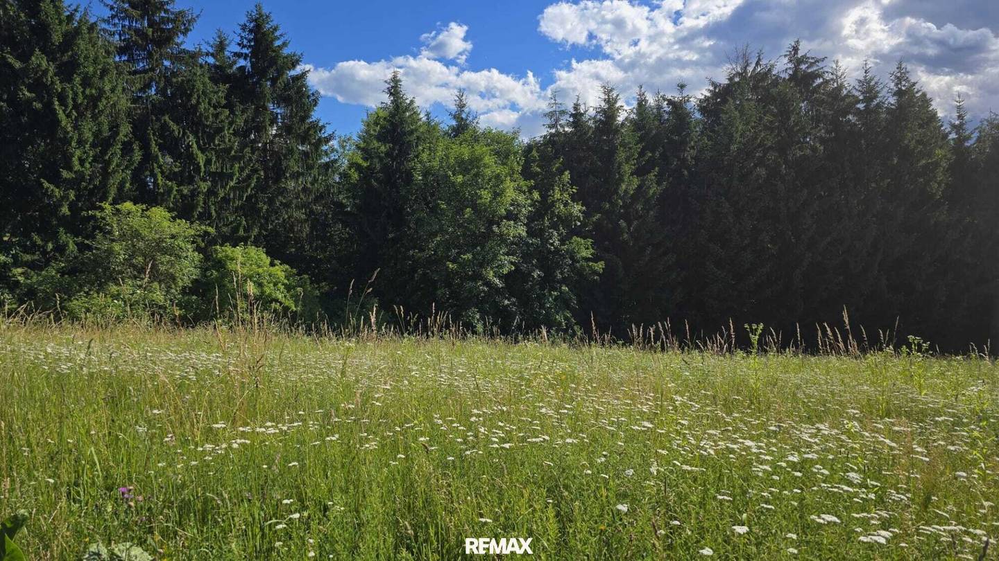 Ruhiges Baugrundstück mit Wald und Wiesen in Wies