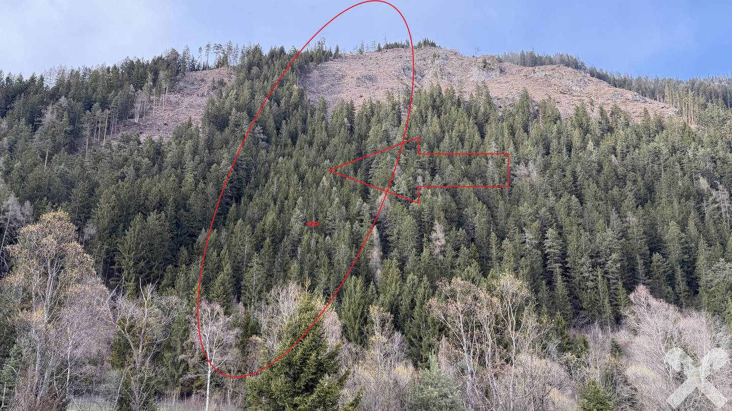 Forstfläche auf Südhang bei Frojach