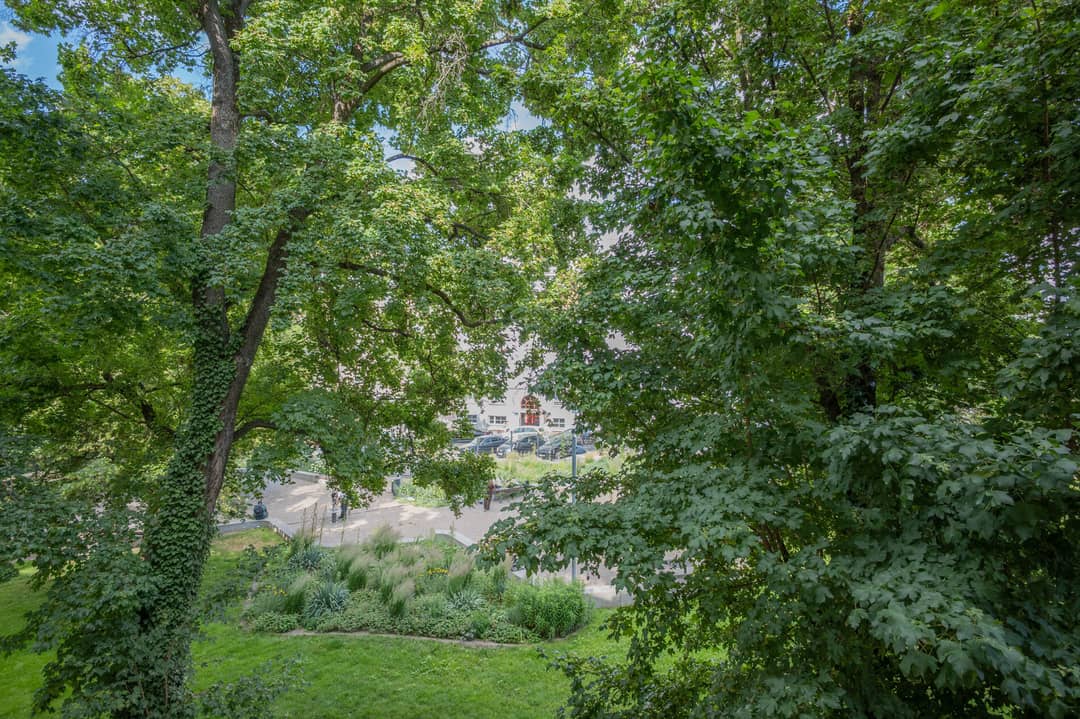 Aussicht zum Vivenotpark