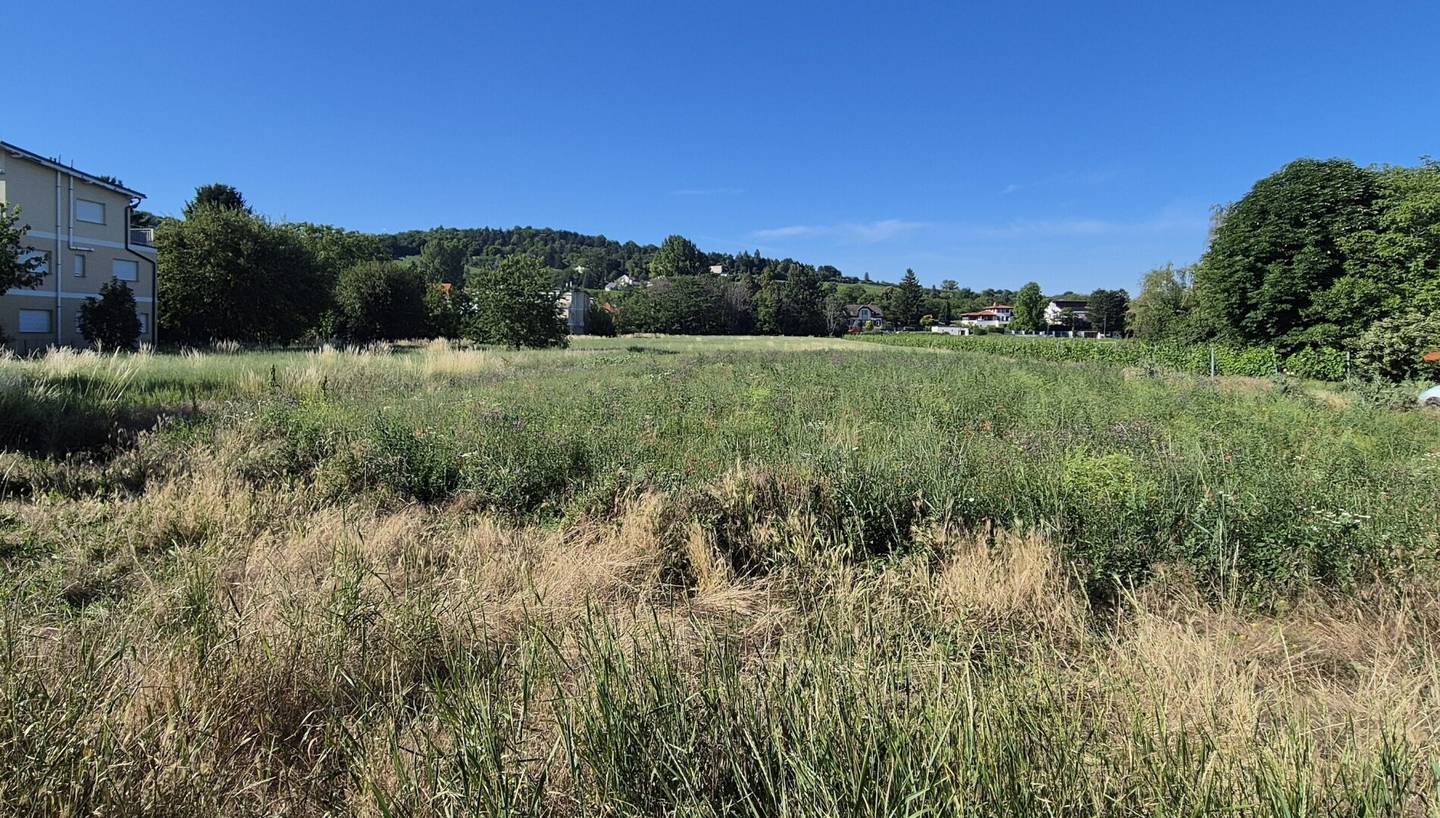 Plot at Bisamberg with pond and building land portion