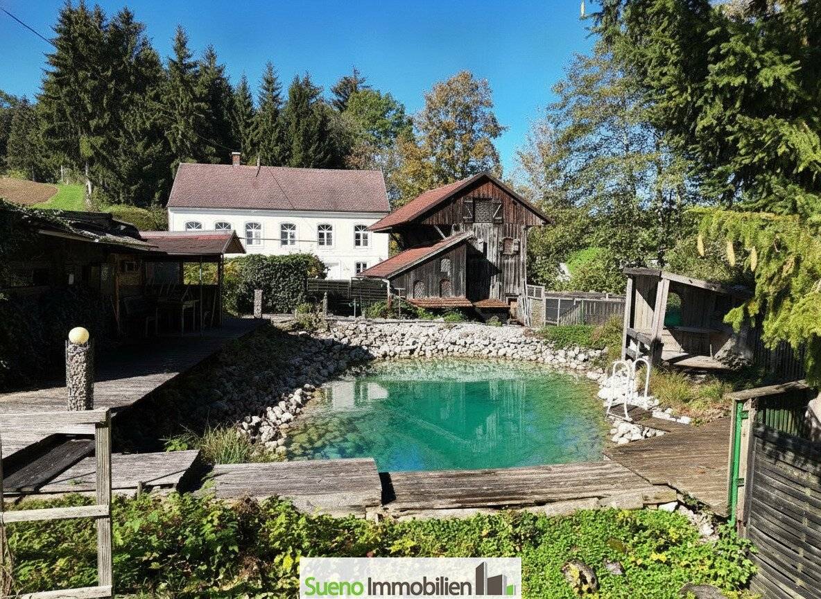 Ehemalige Mühle mit Wintergarten und Biotop