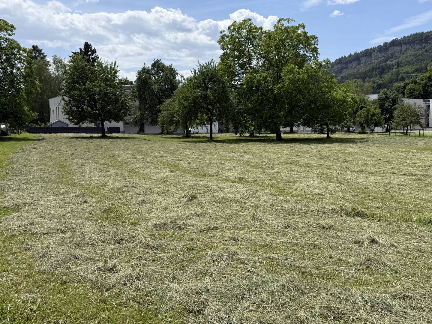 Sonniges Grundstück in bester Infrastruktur