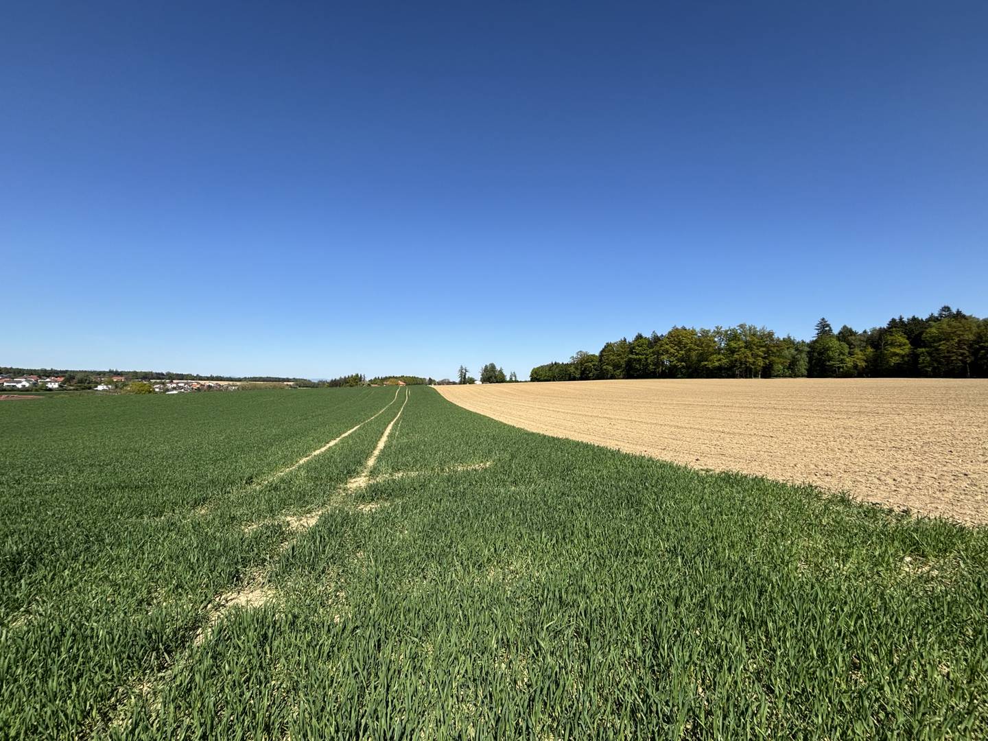 Landwirtschaftsfläche mit guter Erreichbarkeit