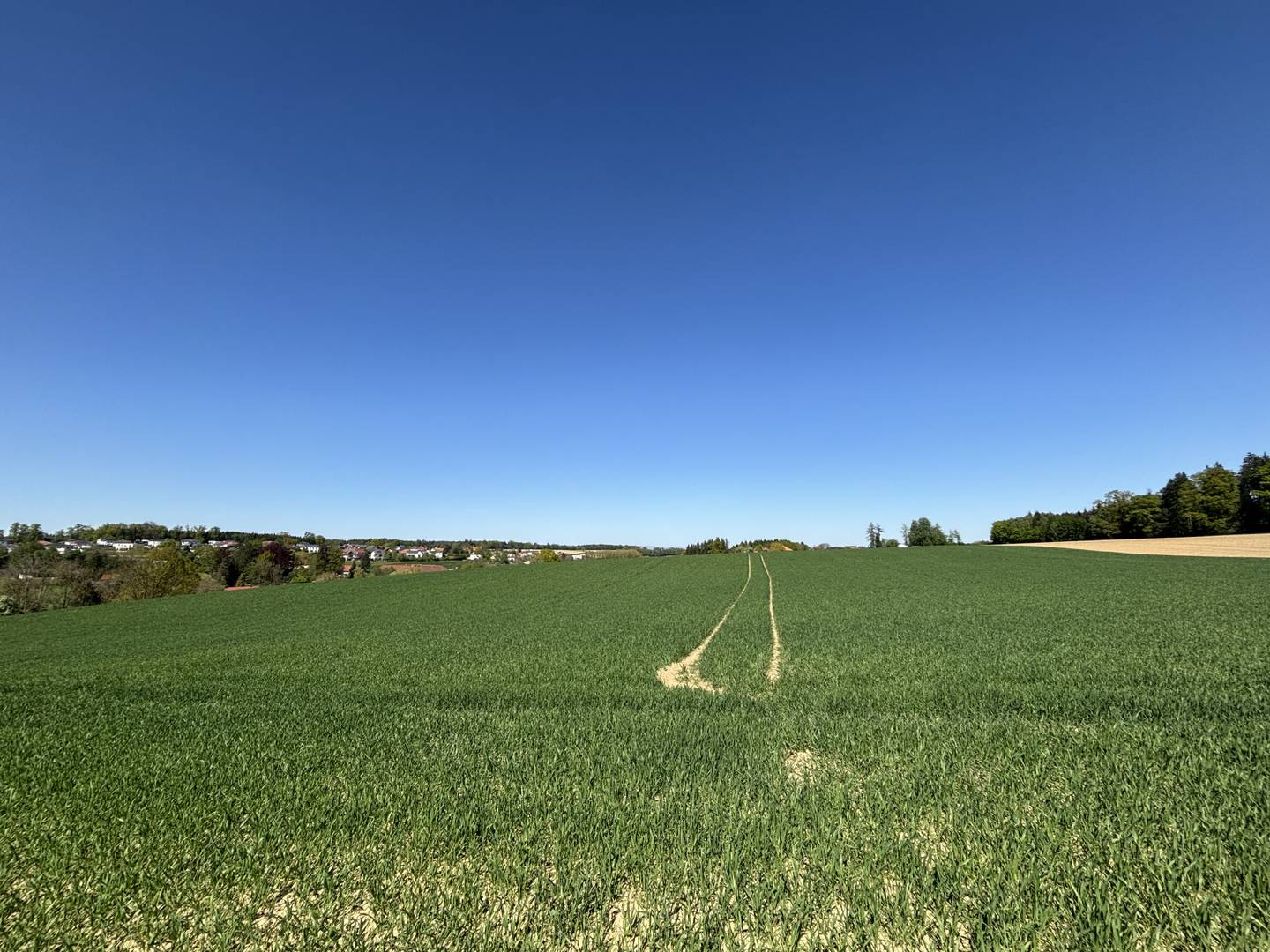 Landwirtschaftsfläche mit guter Erreichbarkeit