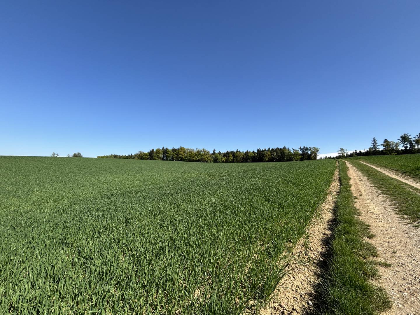 Landwirtschaftsfläche mit guter Erreichbarkeit