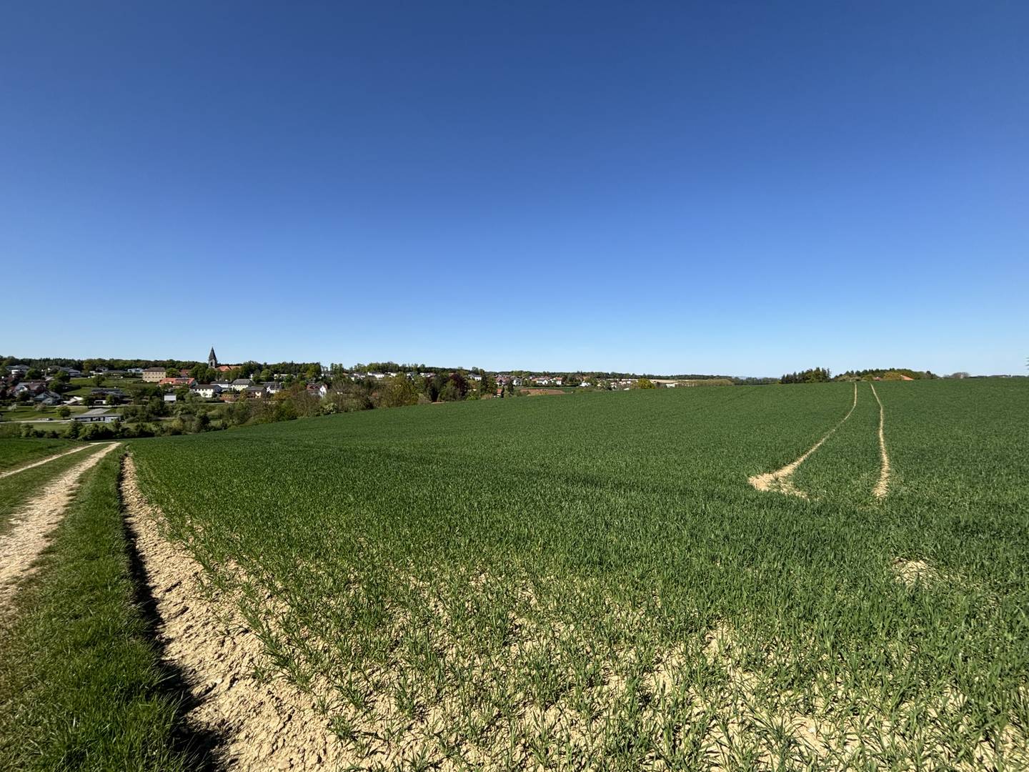 Landwirtschaftsfläche mit guter Erreichbarkeit