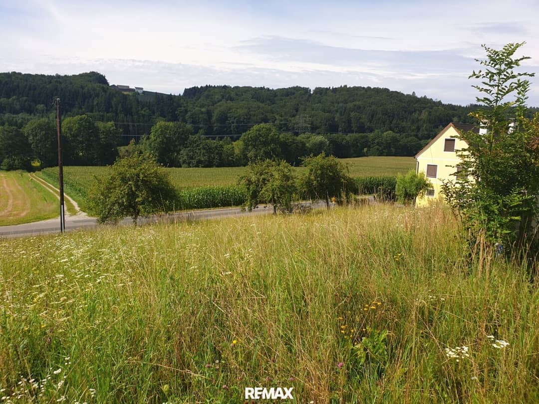 Immobilienbild 4