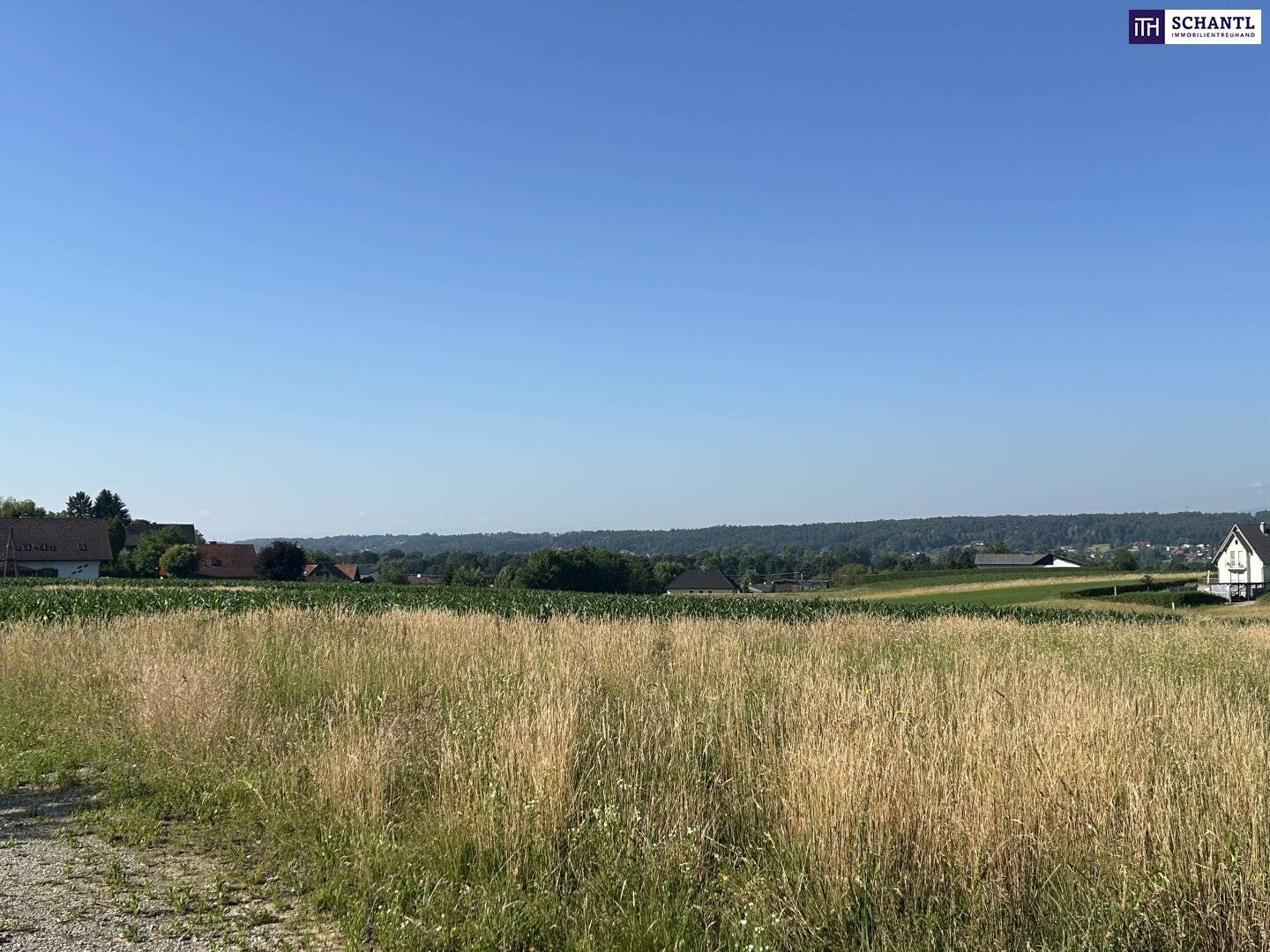 Baugrundstück mit Weitblick in Lieboch