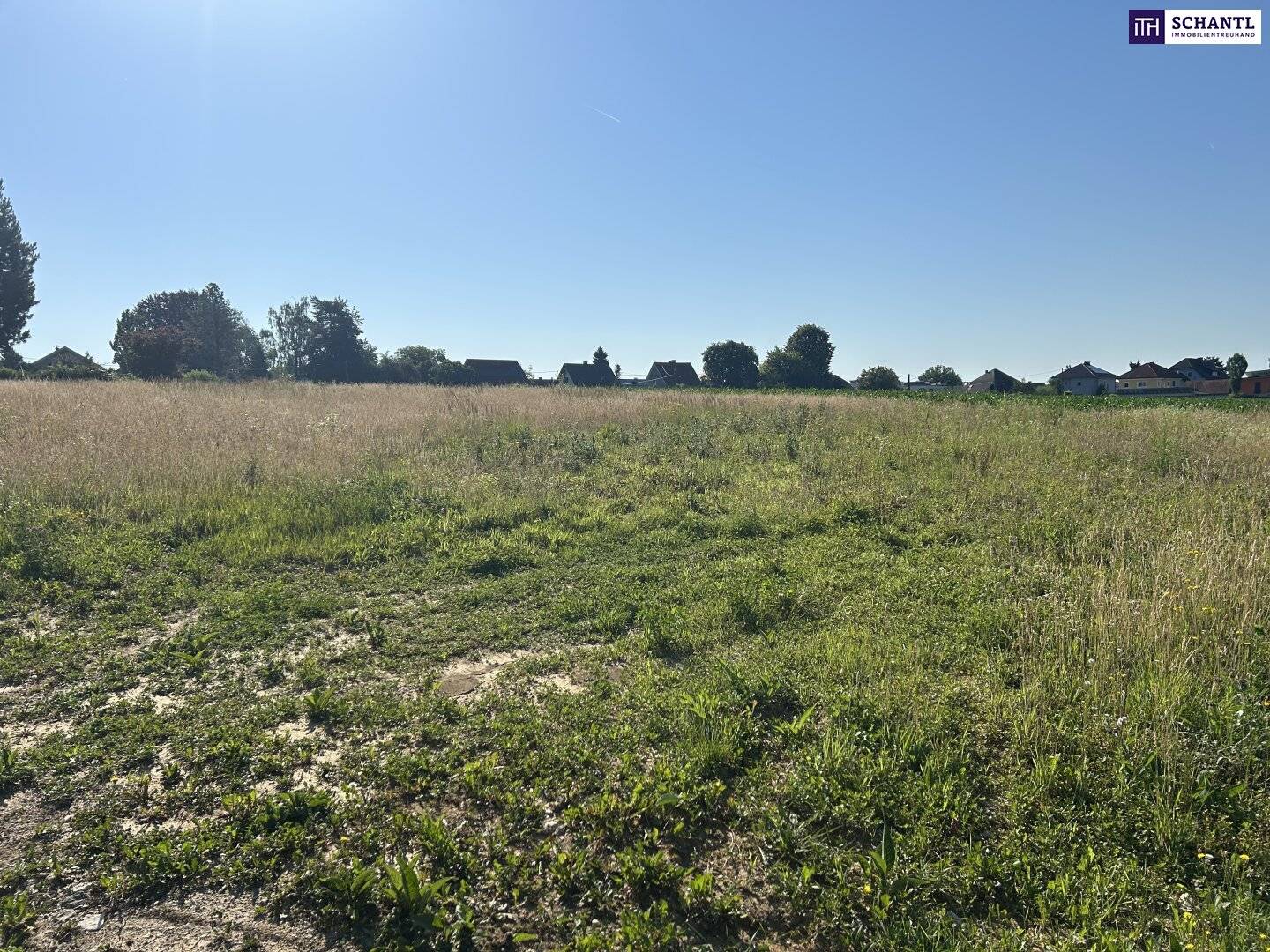 Baugrundstück mit Weitblick in Lieboch