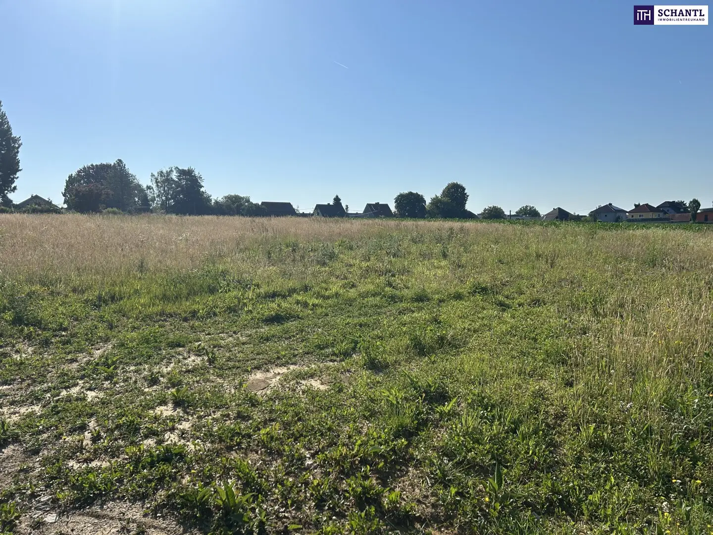 Baugrundstück mit Weitblick in Lieboch